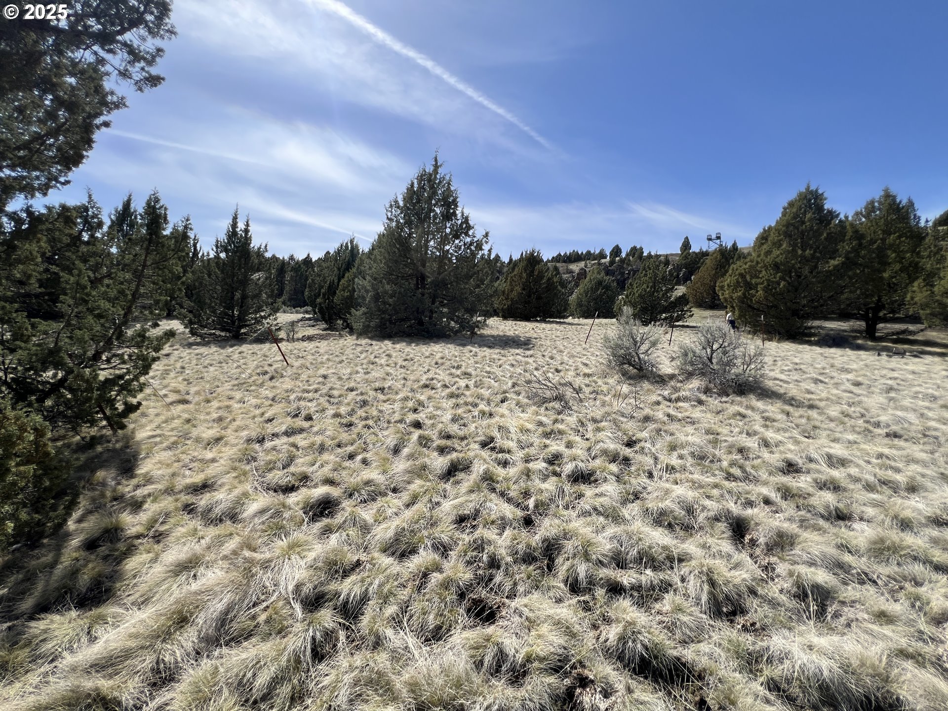 Blue Gulch Road John Day, OR 97845 - Photo 27 of 44 a view of a snow on the middle of a field