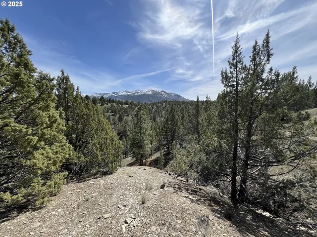 a view of a dry yard with mountains in the background