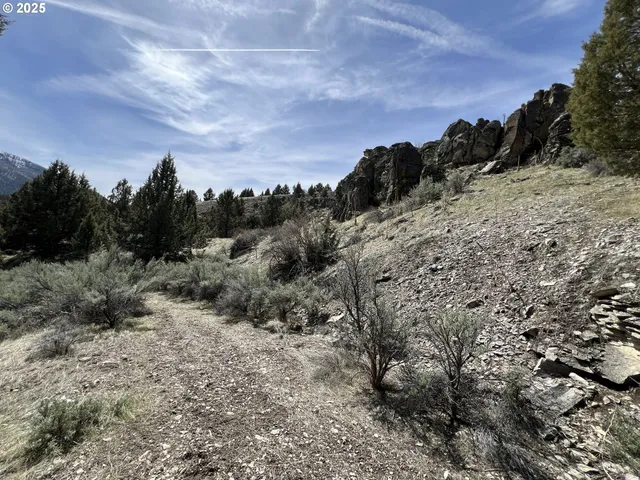 a view of a backyard of a house