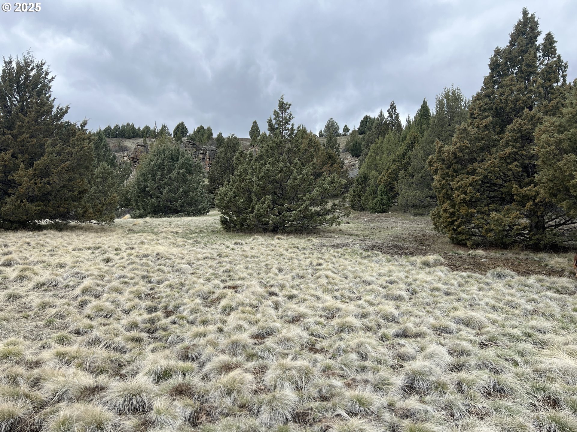 Blue Gulch Road John Day, OR 97845 - Photo 38 of 44 a view of a yard covered with snow