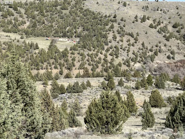 a view of a dry yard with mountains in the background