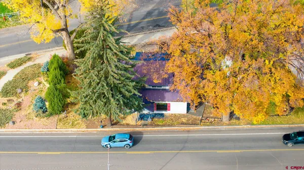 a house with a large tree in front of it
