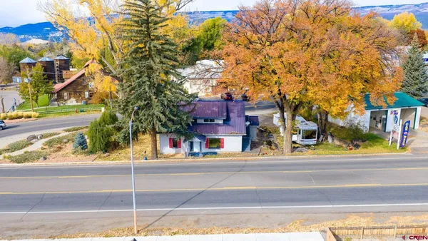 a front view of a house with a yard and a large tree