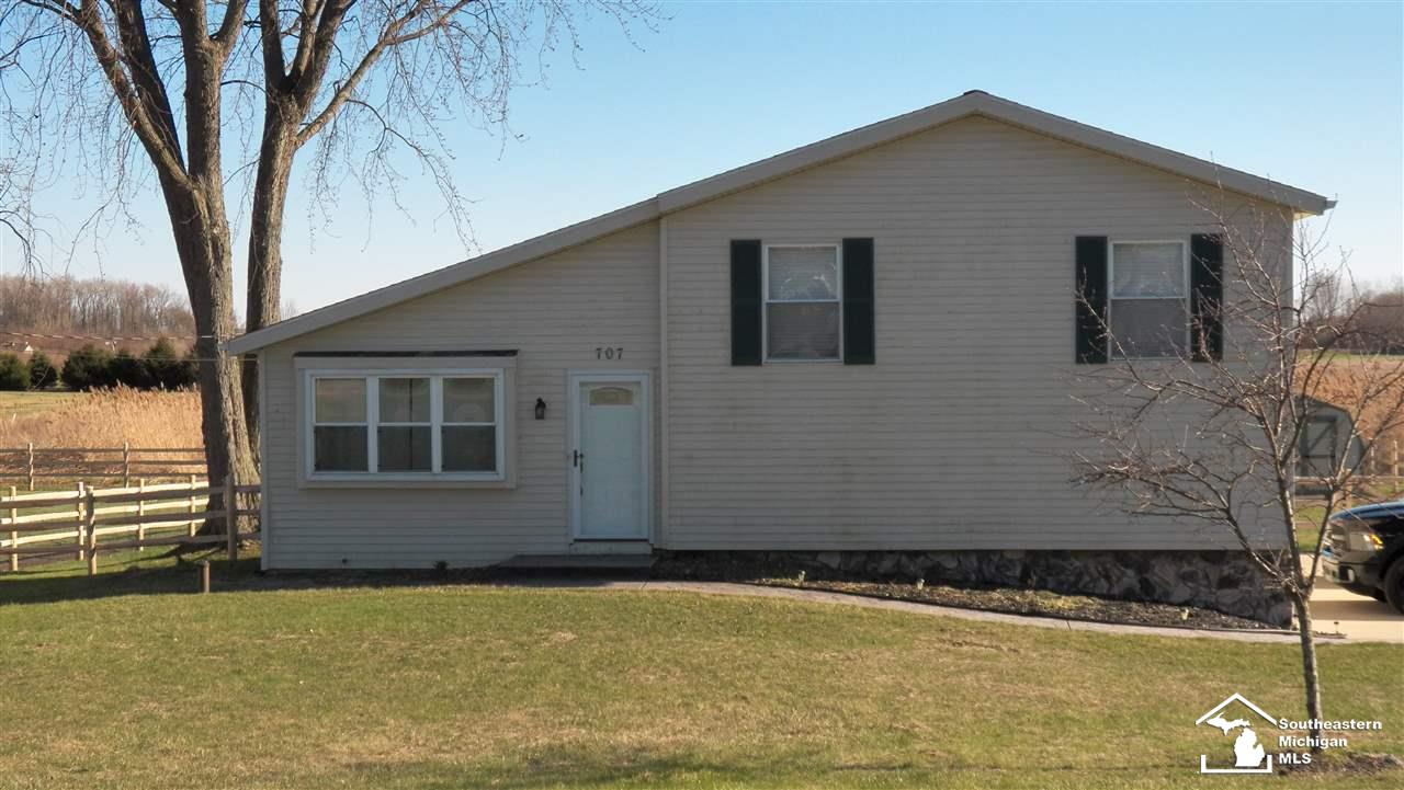 707 East Erie Road Temperance, MI 48182 - Photo 1 of 18 31376528.JPG