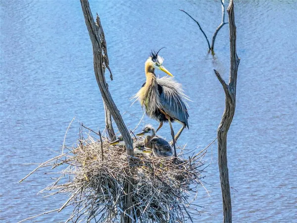 $187,500 | 5862 Yantis Tx 75497, Yantis, TX 75497