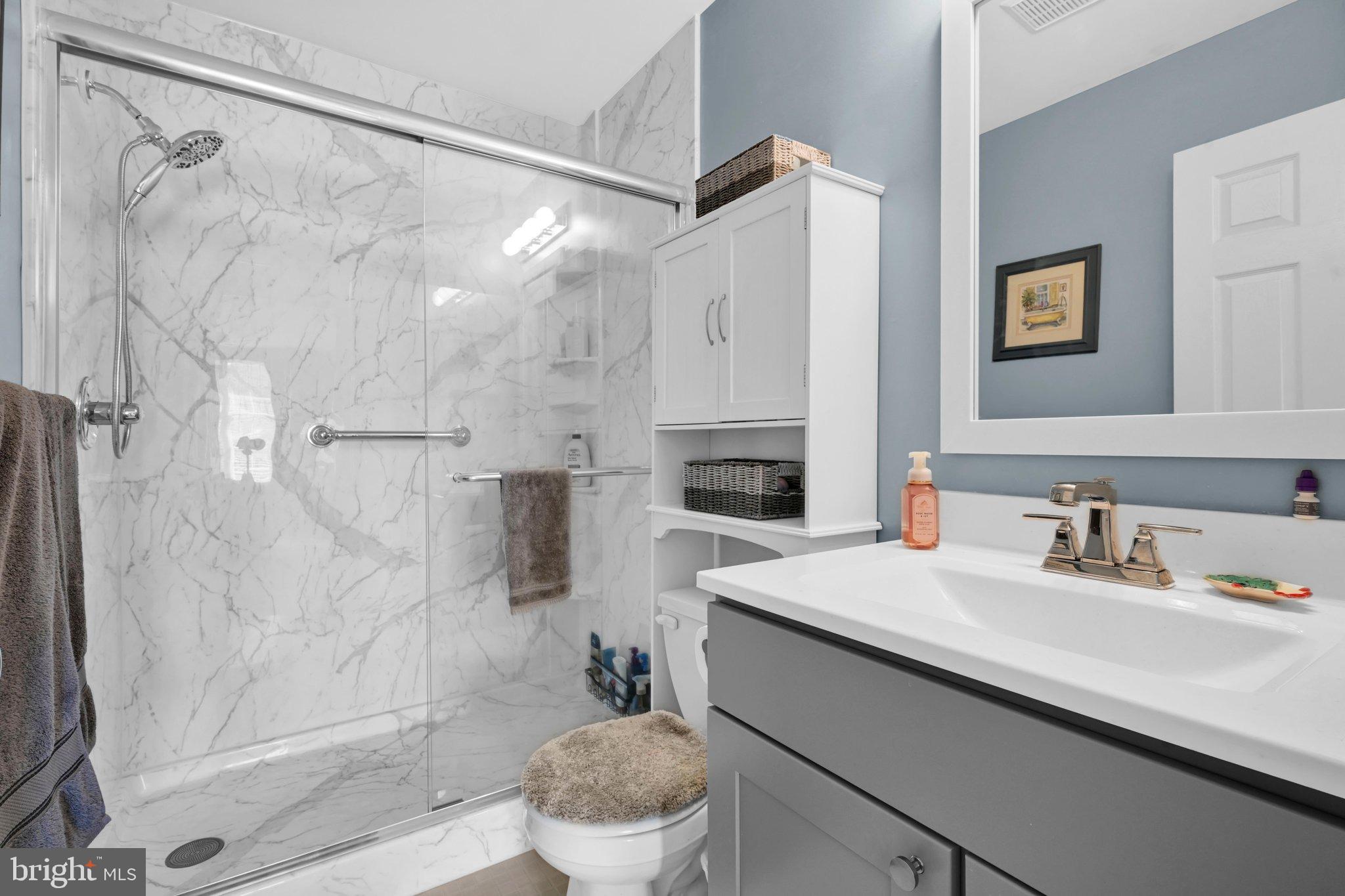 351 Oneida Drive Sinking Spring, PA 19608 - Photo 24 of 36 Bathroom
