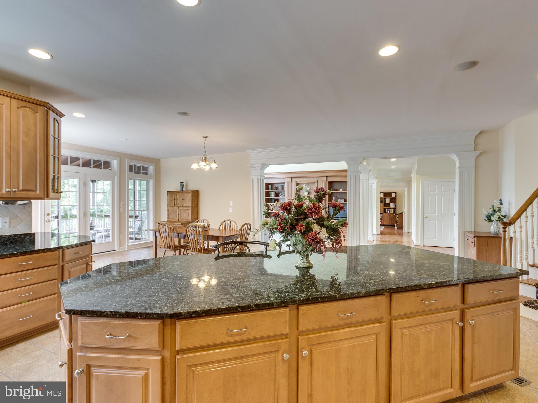 42294 Iron Bit Place Chantilly, VA 20152 - Photo 14 of 55 The kitchen looks out into the Family Room.