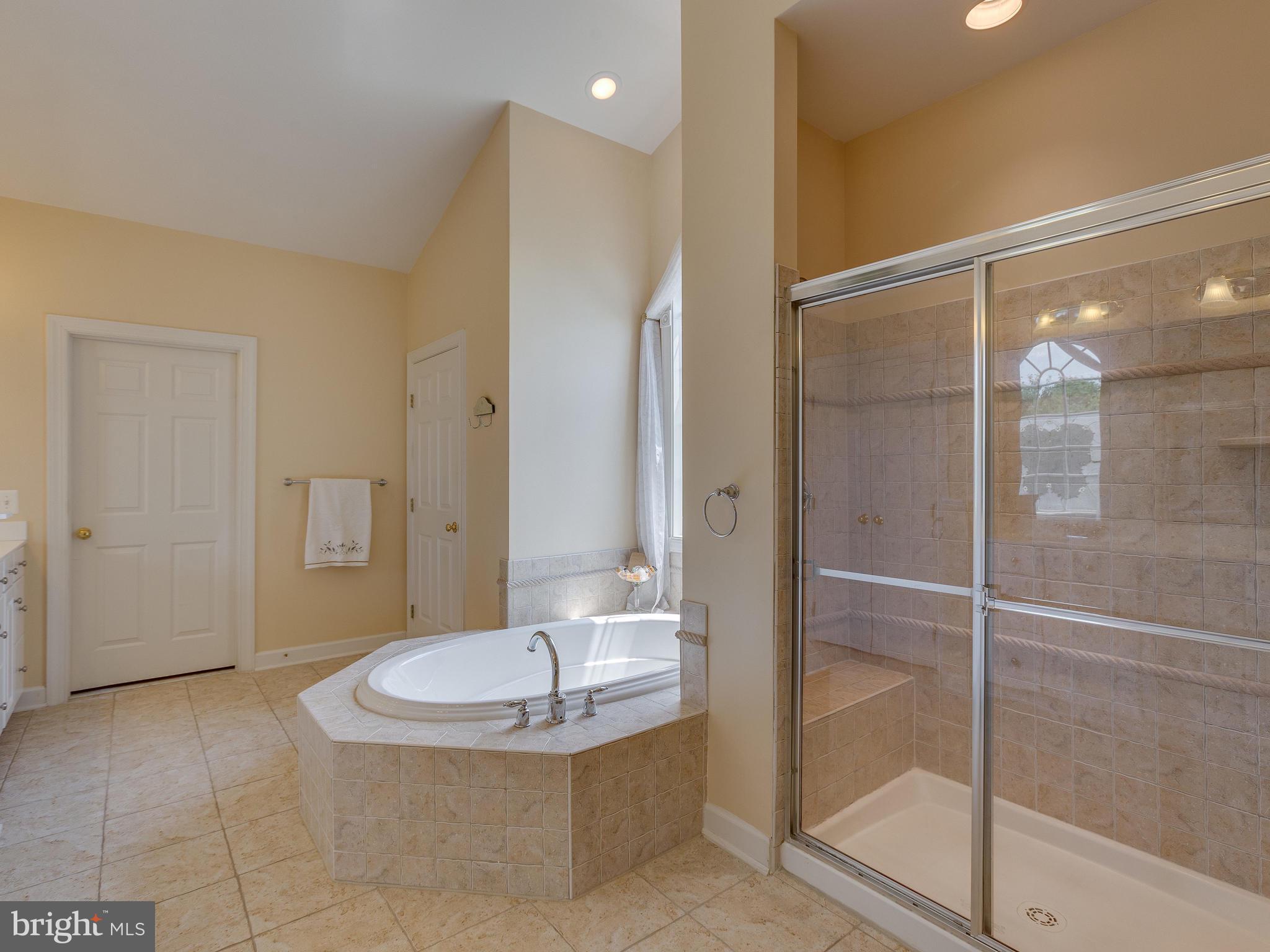 42294 Iron Bit Place Chantilly, VA 20152 - Photo 30 of 55 Master Bathroom.