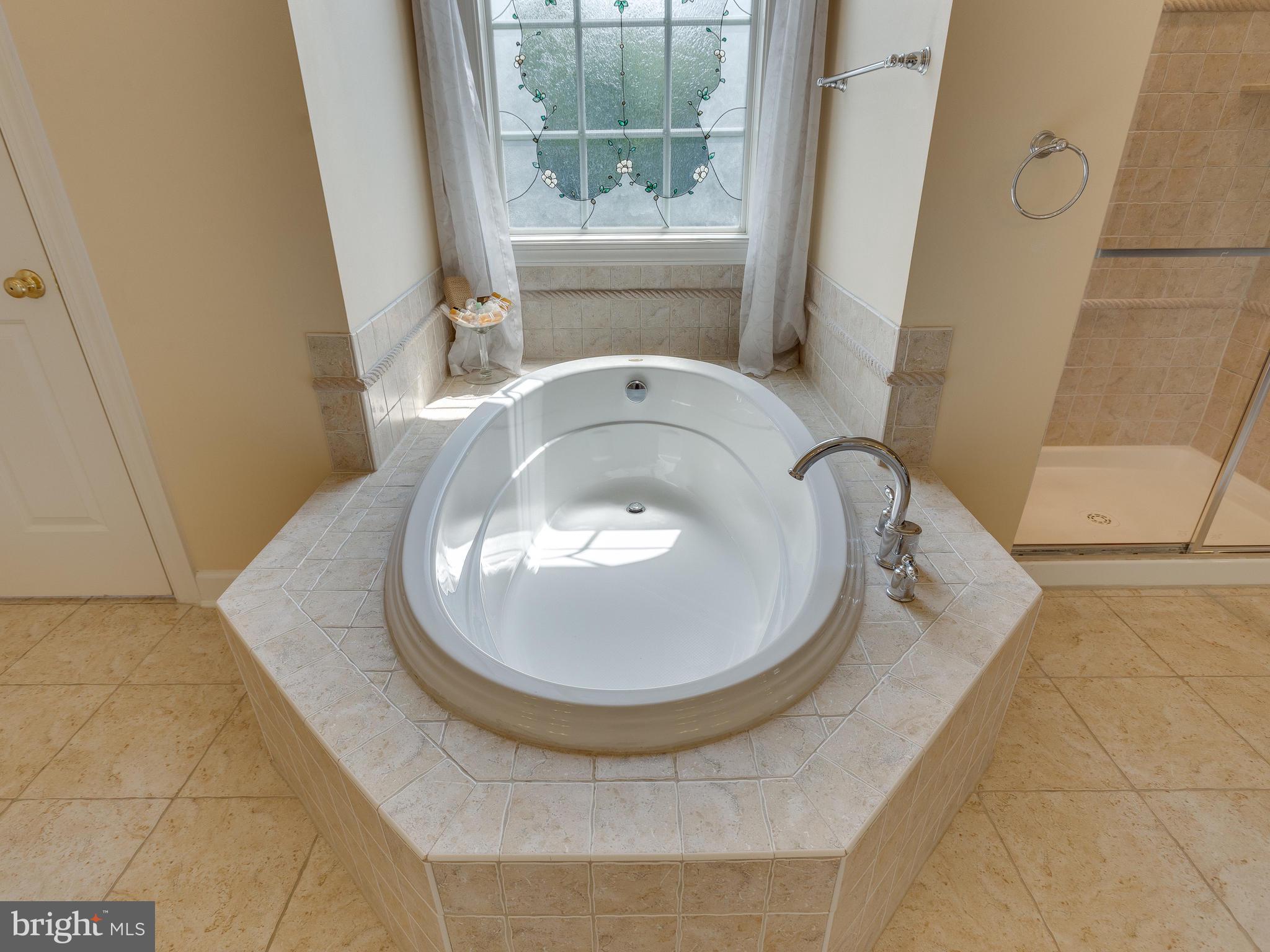 42294 Iron Bit Place Chantilly, VA 20152 - Photo 31 of 55 Soaking Tub.
