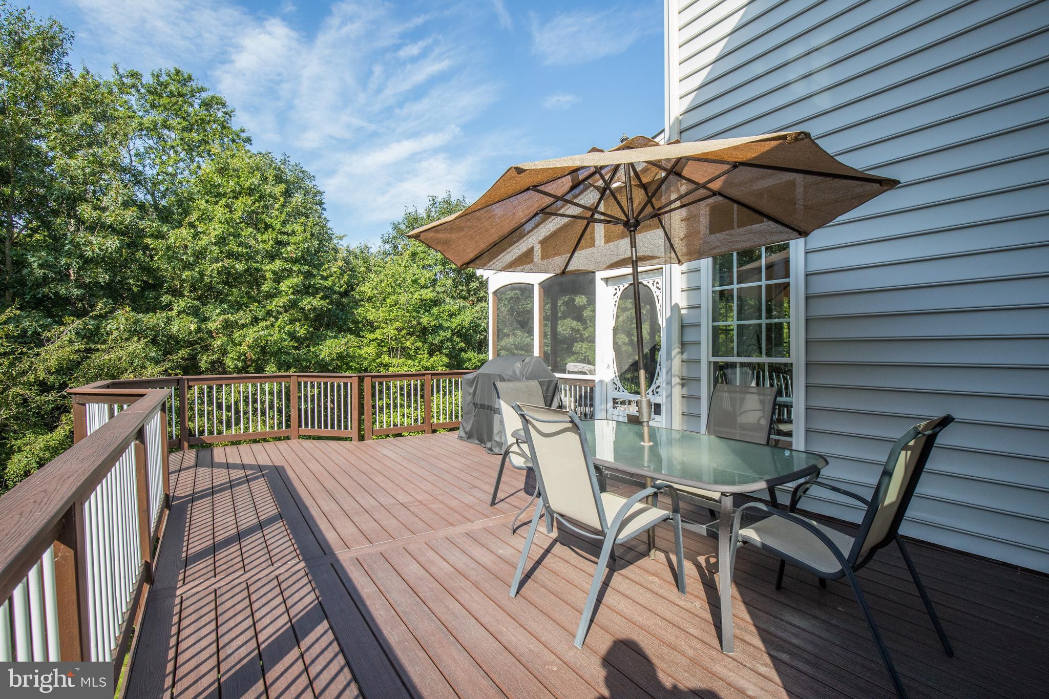 42294 Iron Bit Place Chantilly, VA 20152 - Photo 49 of 55 Entertain on the easy to maintain Trex deck