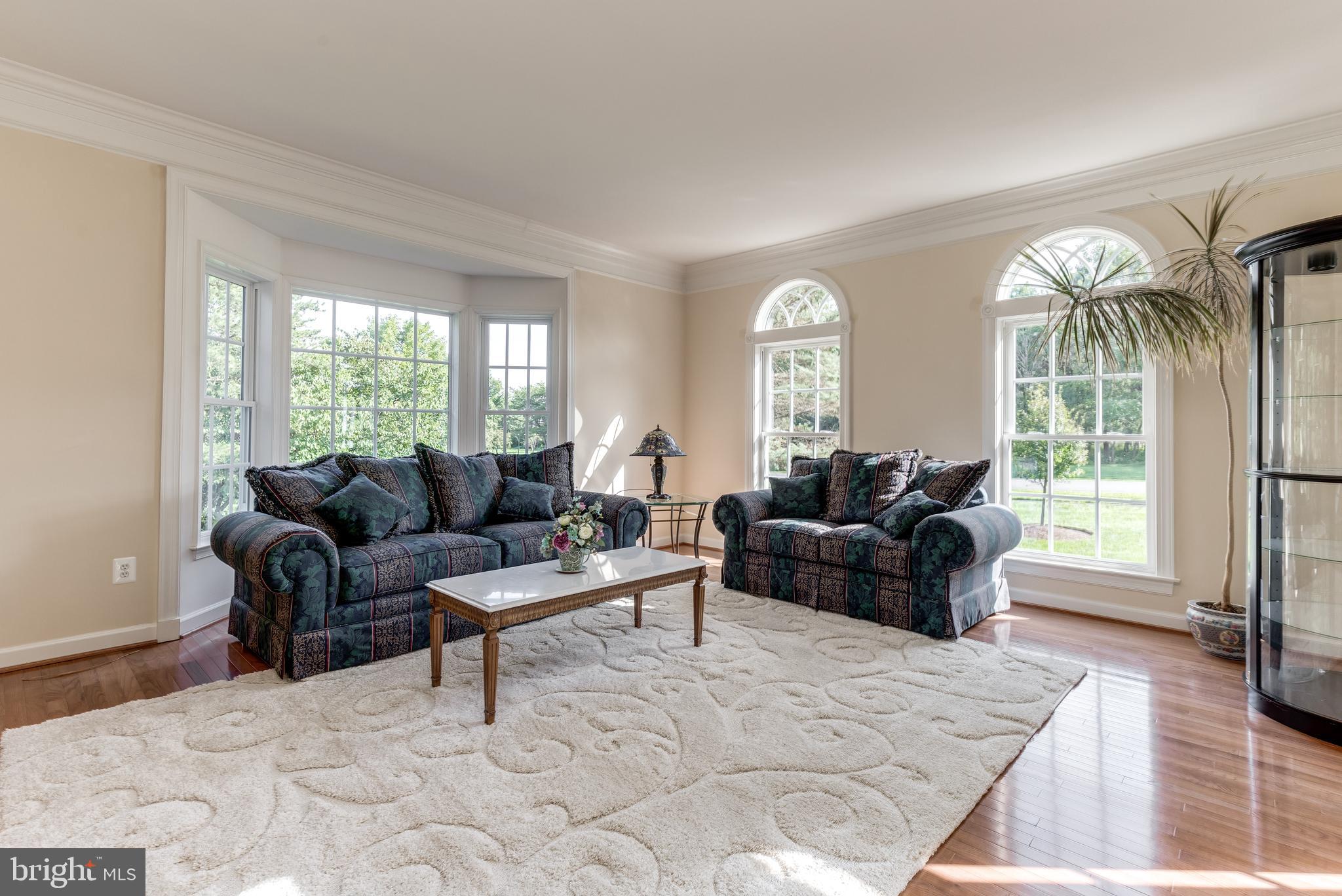 42294 Iron Bit Place Chantilly, VA 20152 - Photo 8 of 55 Living Room with bay window
