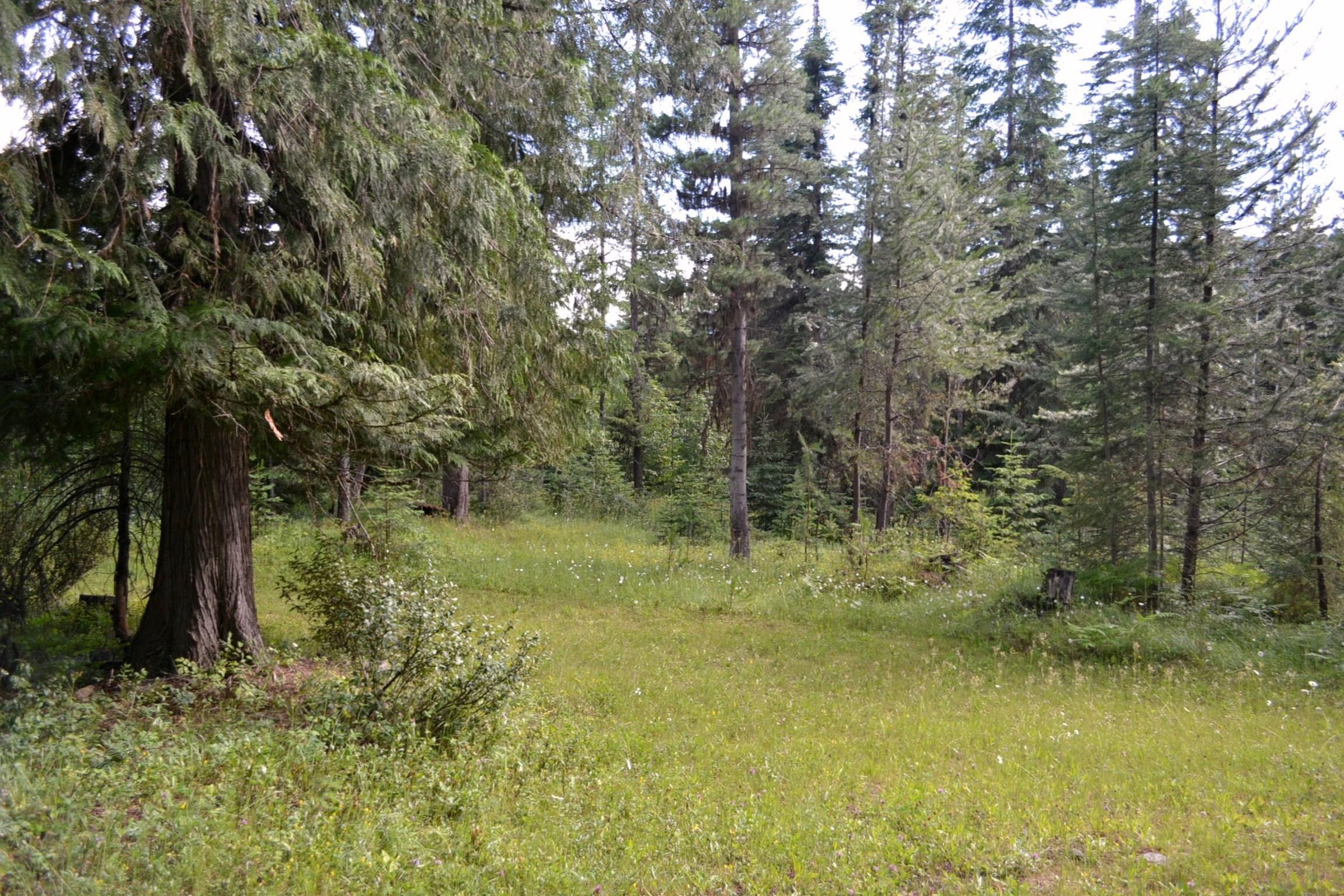 3 B Highway 95 Weiser, ID 83672 - Photo 1 of 1 DSC_0152