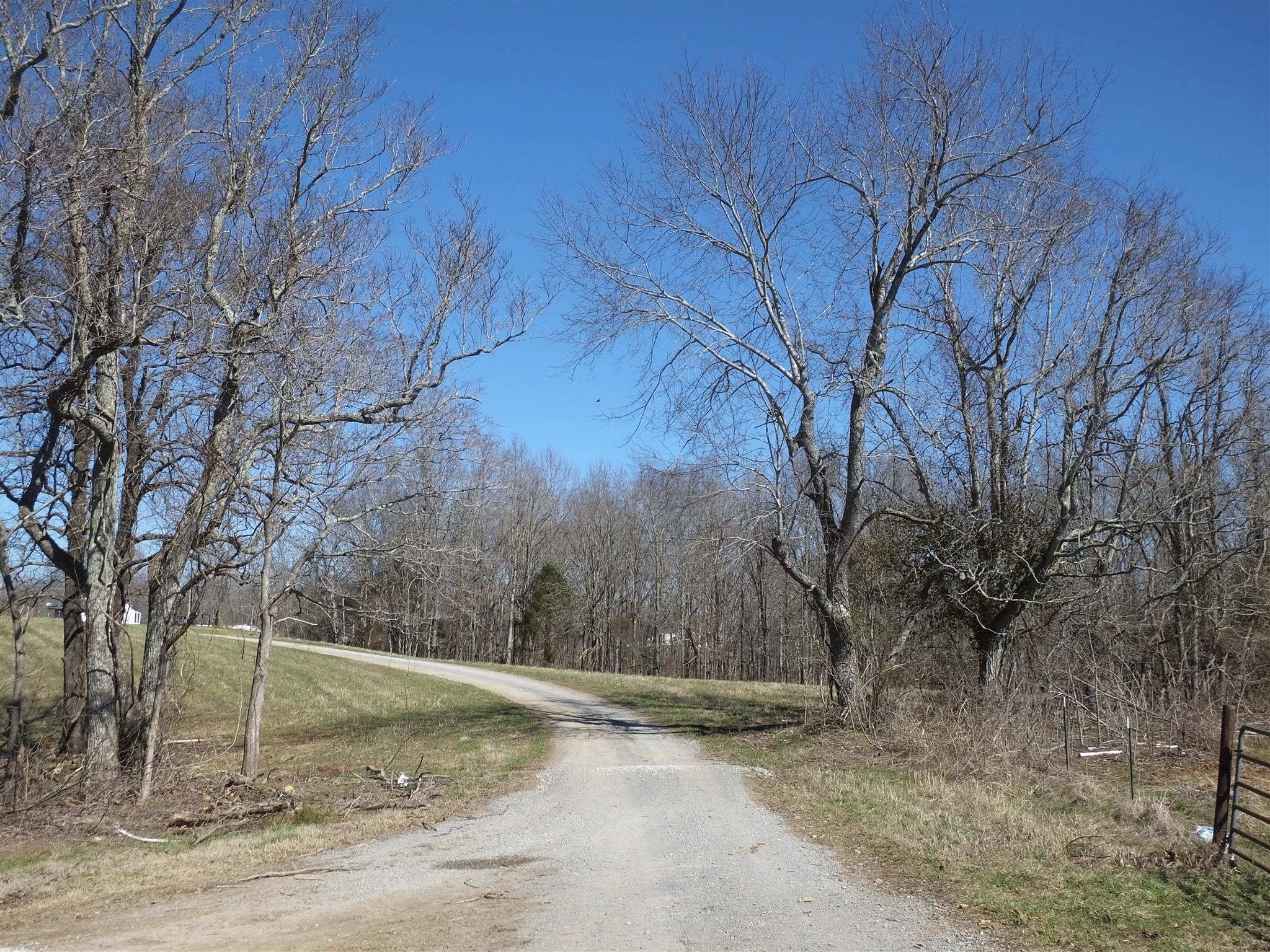 9575 Goose Branch Road Bon Aqua, TN 37025 - Photo 27 of 28 Lane into very private property. There is approx. 1,000 feet, total, of road frontage on Goose Branch Rd and Big Spring Creek Rd.