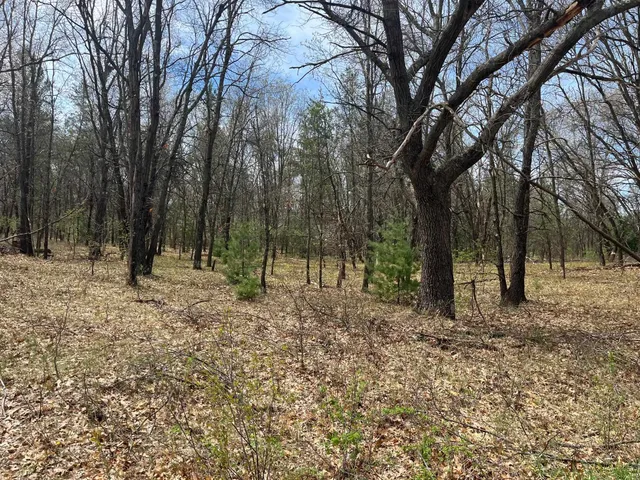 $16,500 | L38 South Duck Creek Drive, Friendship, WI 53934