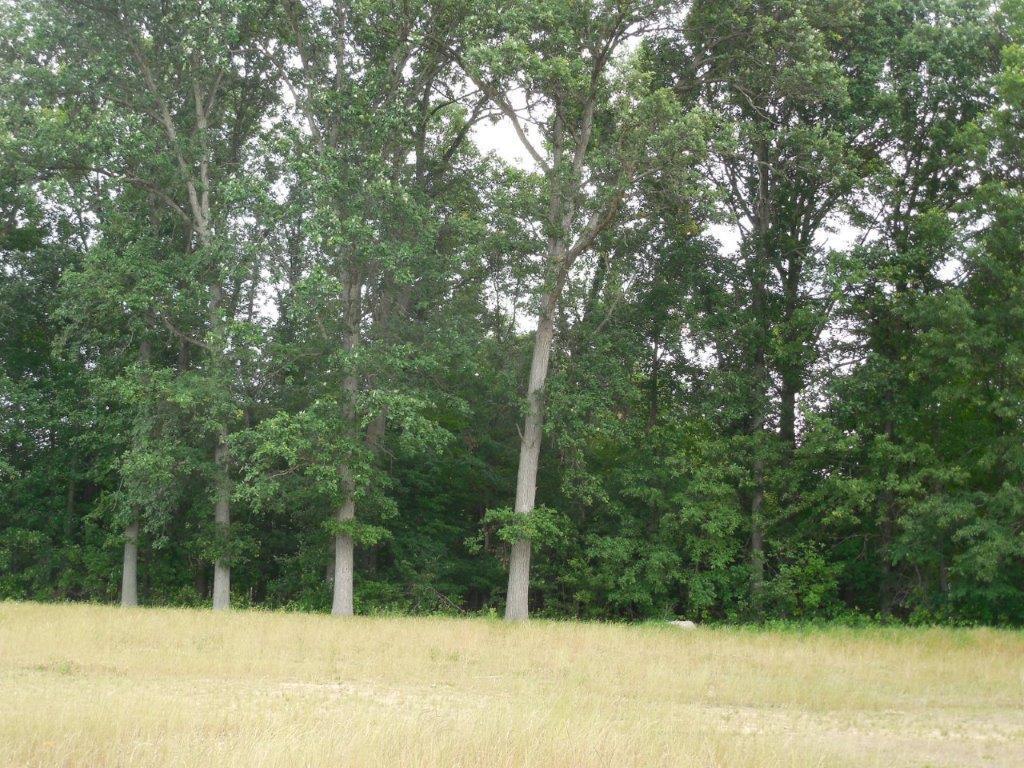 4273 Seldom Seen Road Powell, OH 43065 - Photo 3 of 5 Gallery Image 3