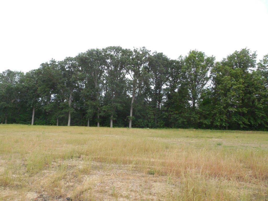 4273 Seldom Seen Road Powell, OH 43065 - Photo 4 of 5 Gallery Image 4