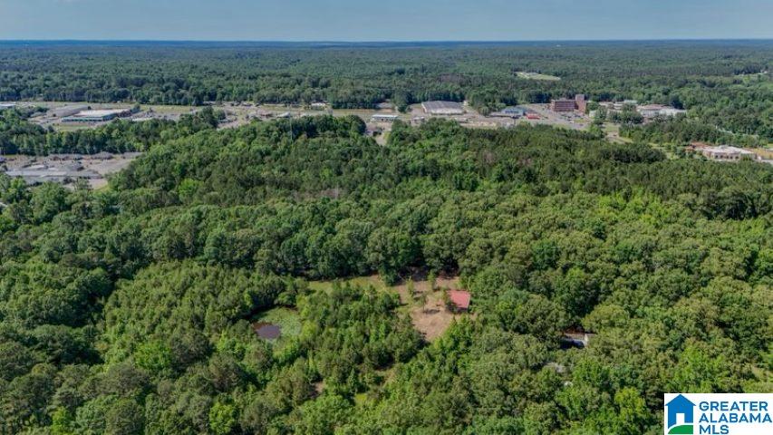 0 Jones Dairy Road Jasper, AL 35501 - Photo 5 of 14