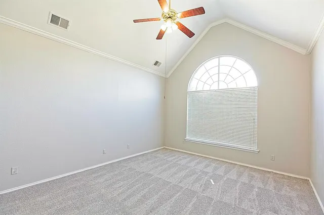 a view of a yard with plants and trees