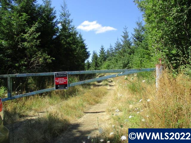 0 Timber (east) Road Forest Grove, OR 97116 - Photo 6 of 9