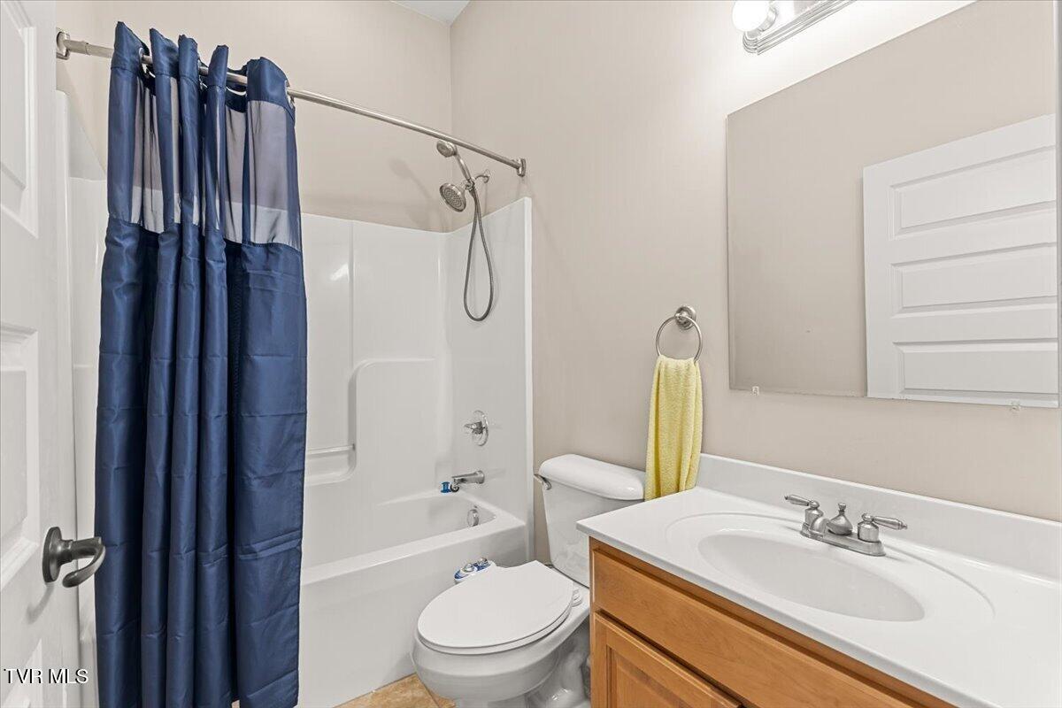 32582 Spring Crest Drive Glade Spring, VA 24340 - Photo 15 of 47 Hall Bathroom