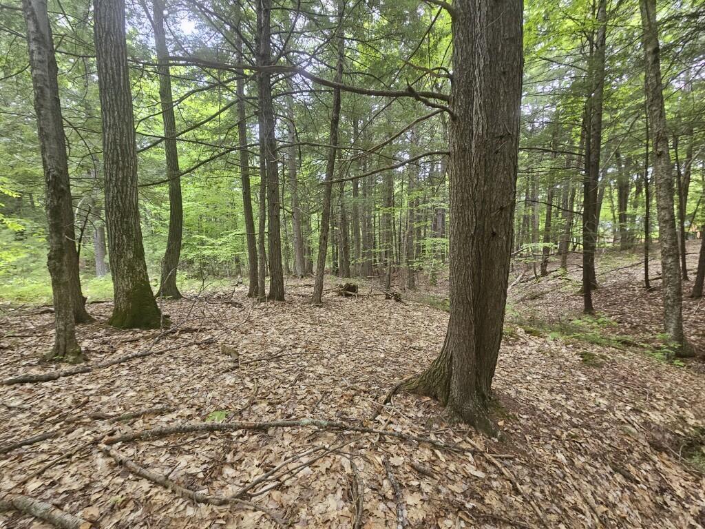 M10-l44 Mountain View Road Fryeburg, ME 04037 - Photo 22 of 36