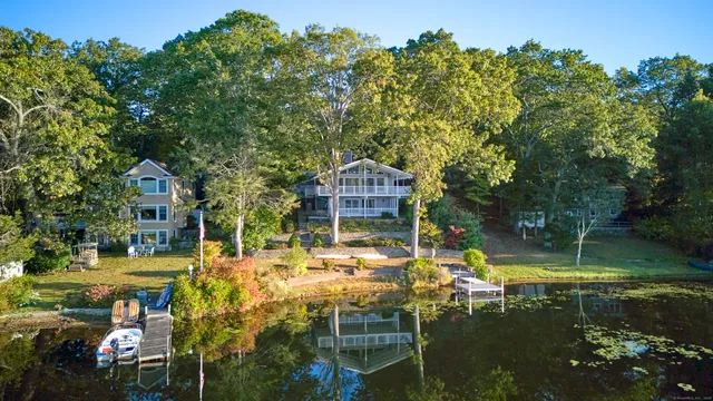 a backyard of a house with large trees and plants