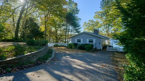a view of a yard with plants and trees