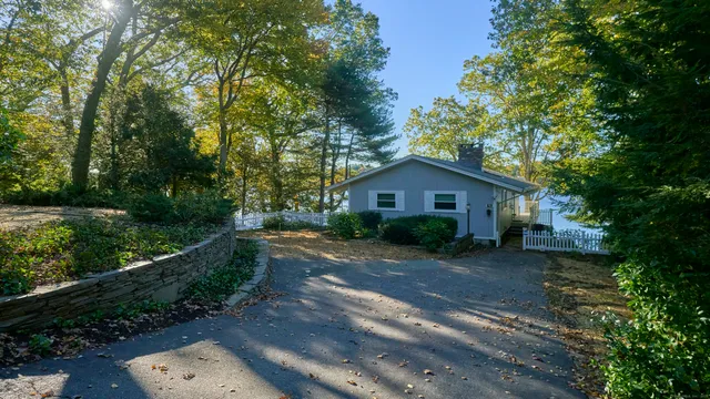 a view of a yard with plants and trees