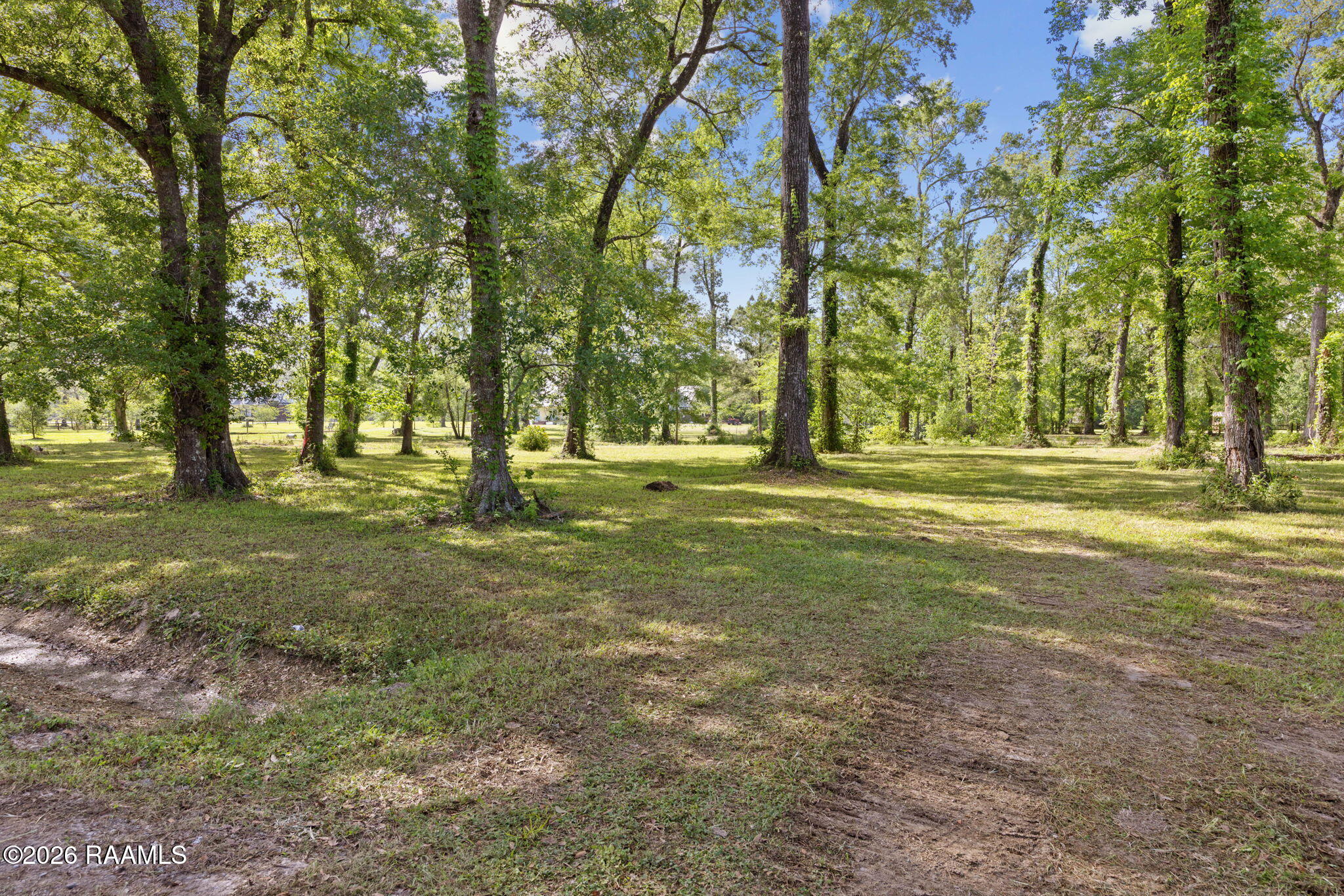 70 McVeigh Road Arnaudville, LA 70512 - Photo 4 of 15 4-web-or-mls-803A5240