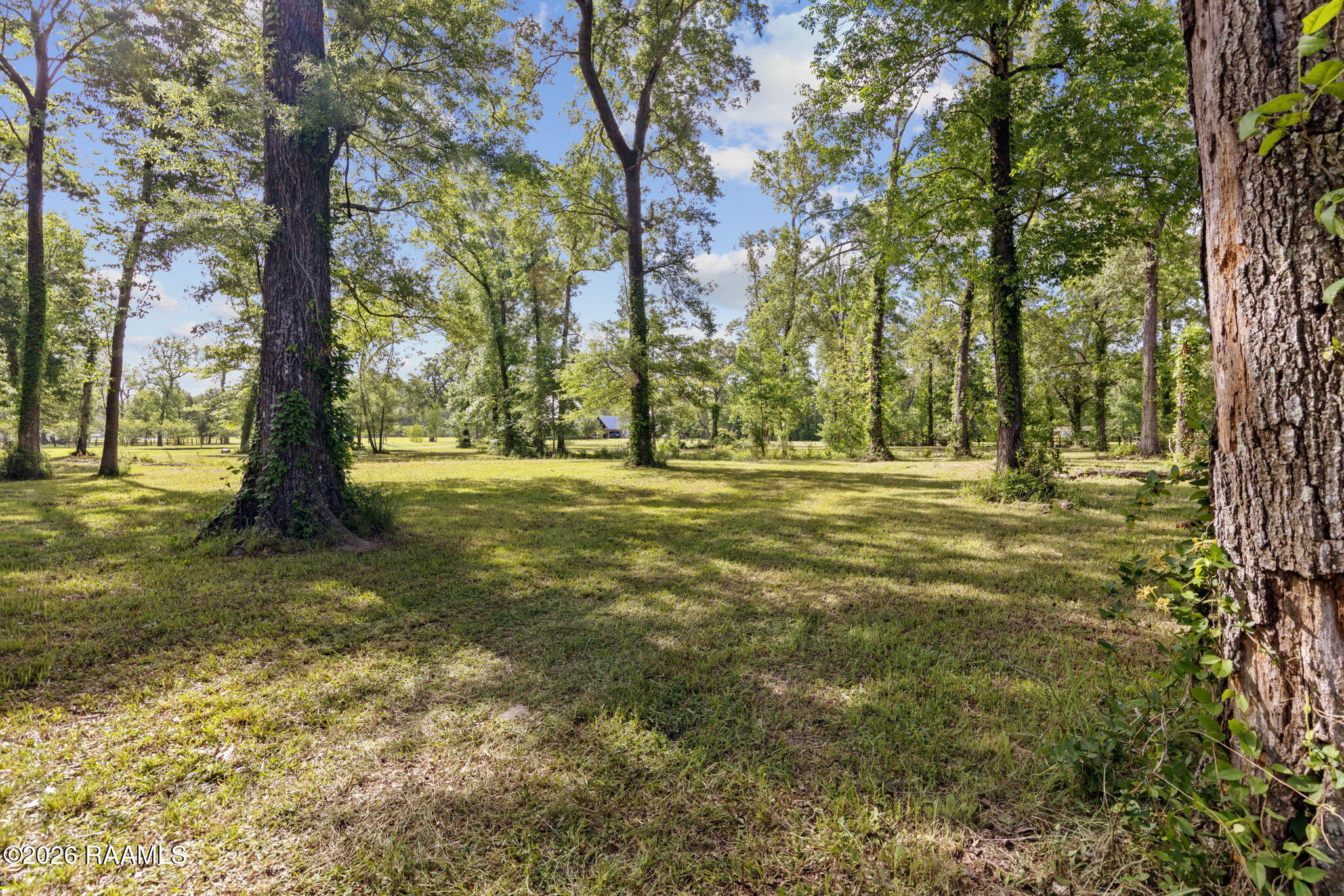 70 McVeigh Road Arnaudville, LA 70512 - Photo 5 of 15 5-web-or-mls-803A5241