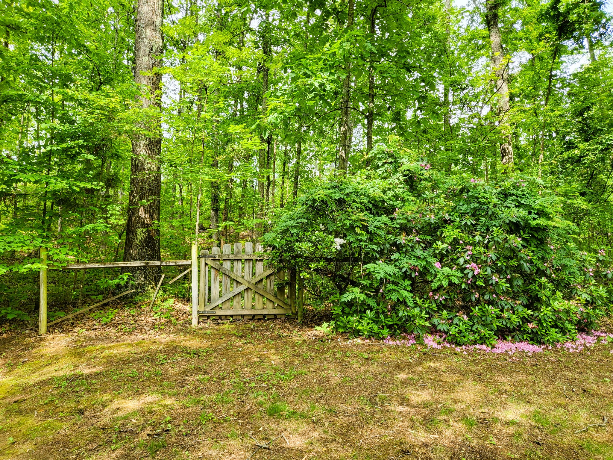 10701 Birdsong Road Holladay, TN 38341 - Photo 12 of 70 Gallery Image 12