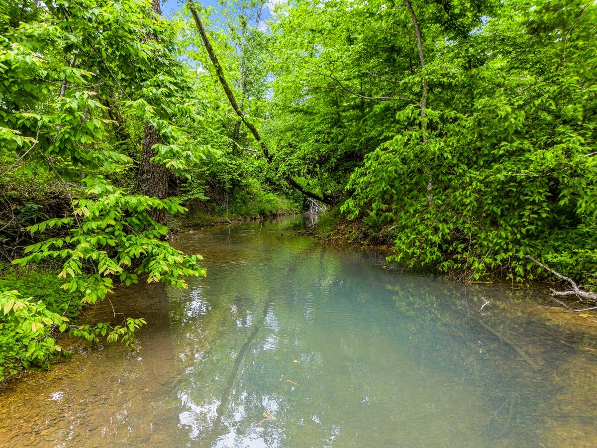 10701 Birdsong Road Holladay, TN 38341 - Photo 20 of 70 Gallery Image 20