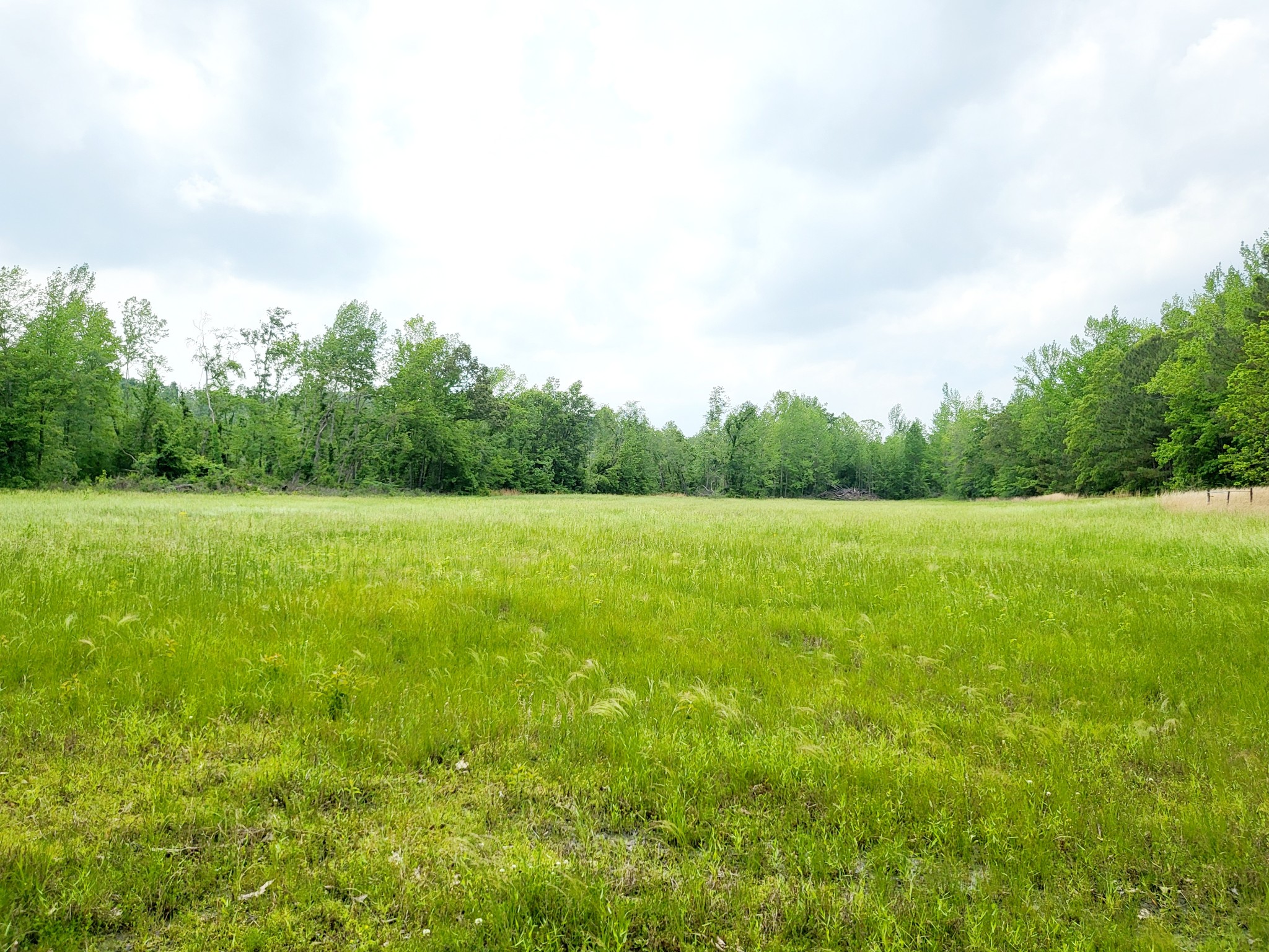 10701 Birdsong Road Holladay, TN 38341 - Photo 21 of 70 Gallery Image 21