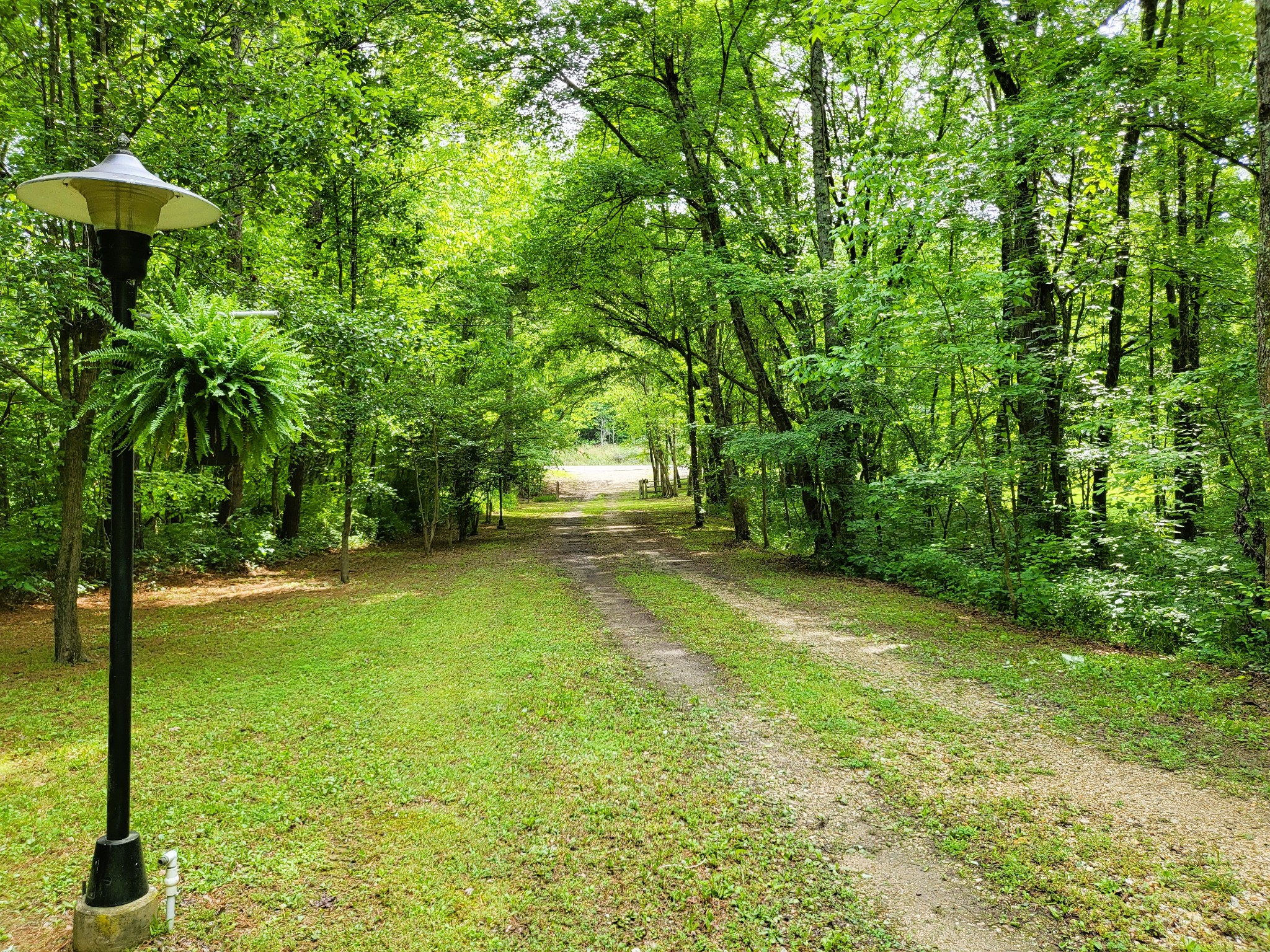 10701 Birdsong Road Holladay, TN 38341 - Photo 61 of 70 Gallery Image 61