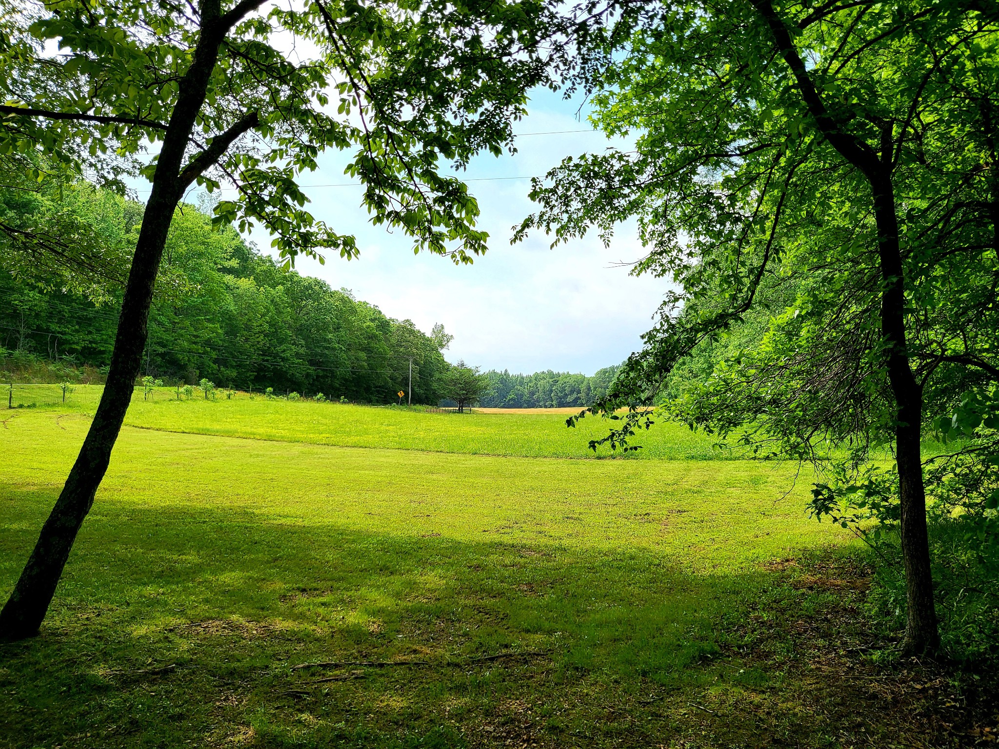 10701 Birdsong Road Holladay, TN 38341 - Photo 62 of 70 Gallery Image 62