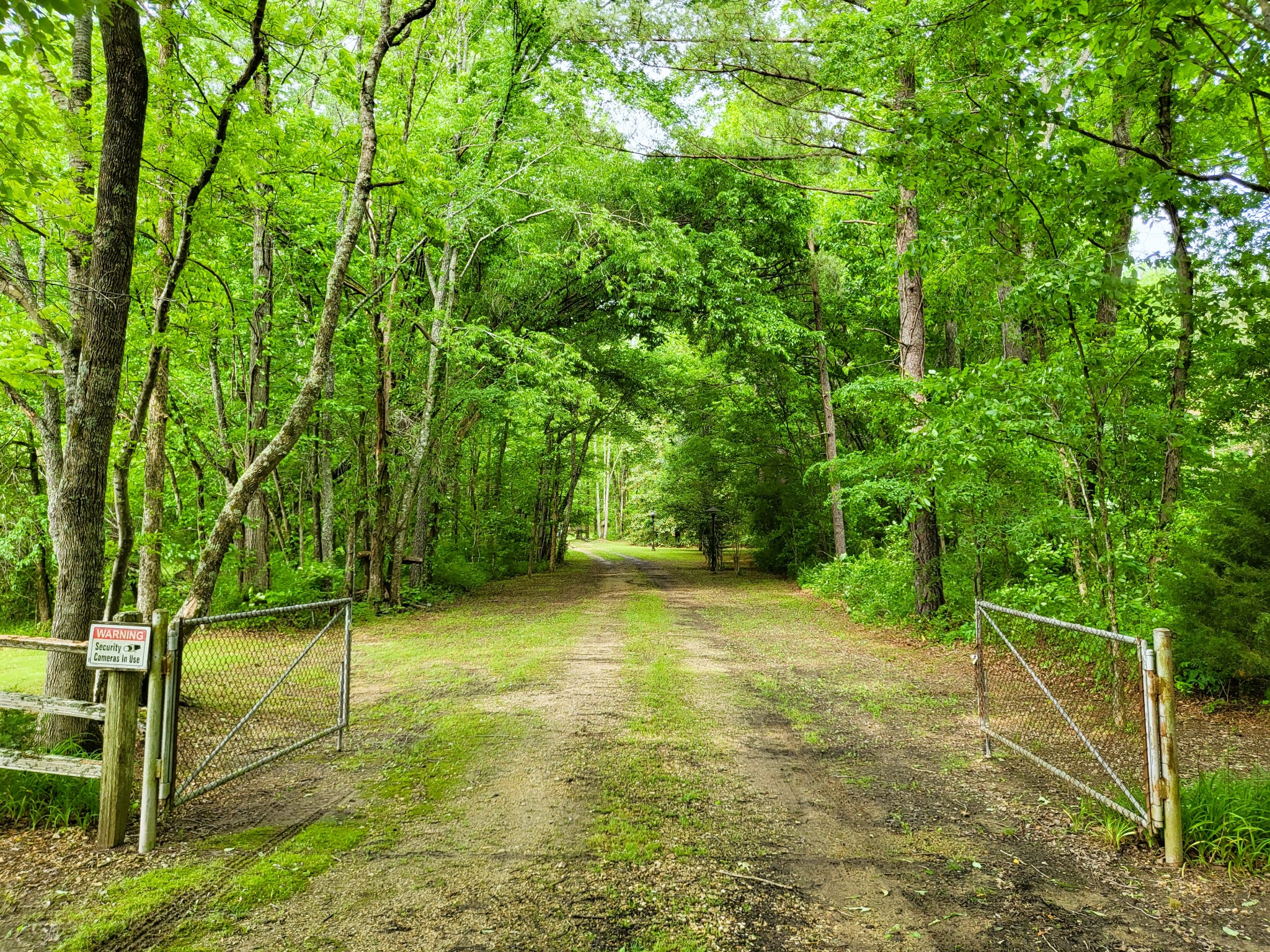 10701 Birdsong Road Holladay, TN 38341 - Photo 63 of 70 Gallery Image 63