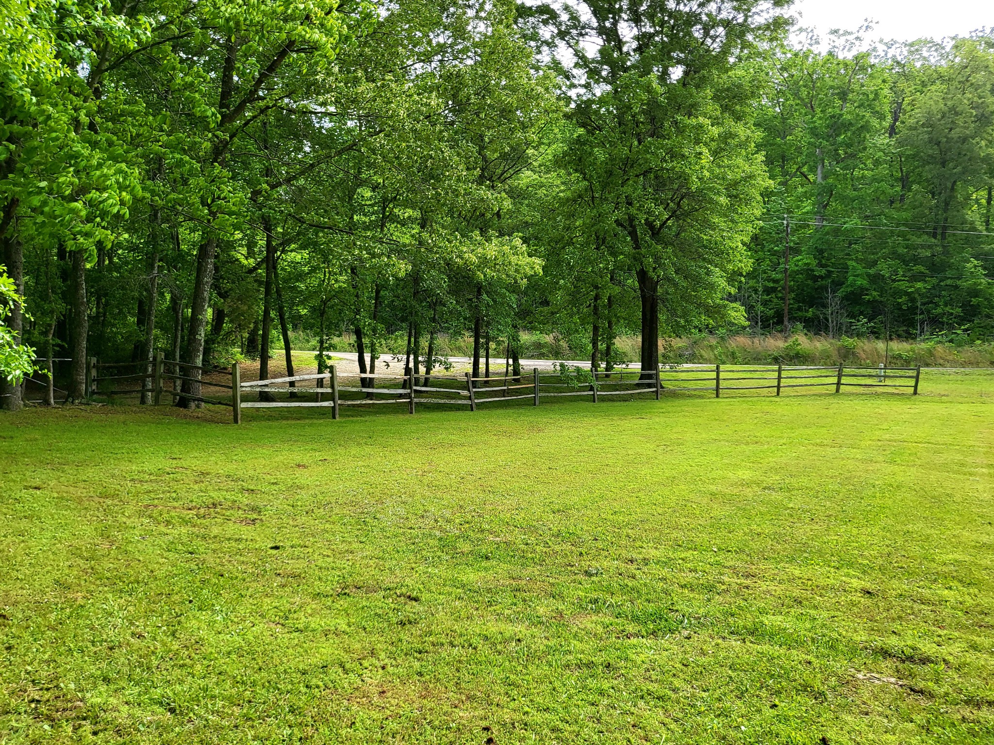 10701 Birdsong Road Holladay, TN 38341 - Photo 64 of 70 Gallery Image 64