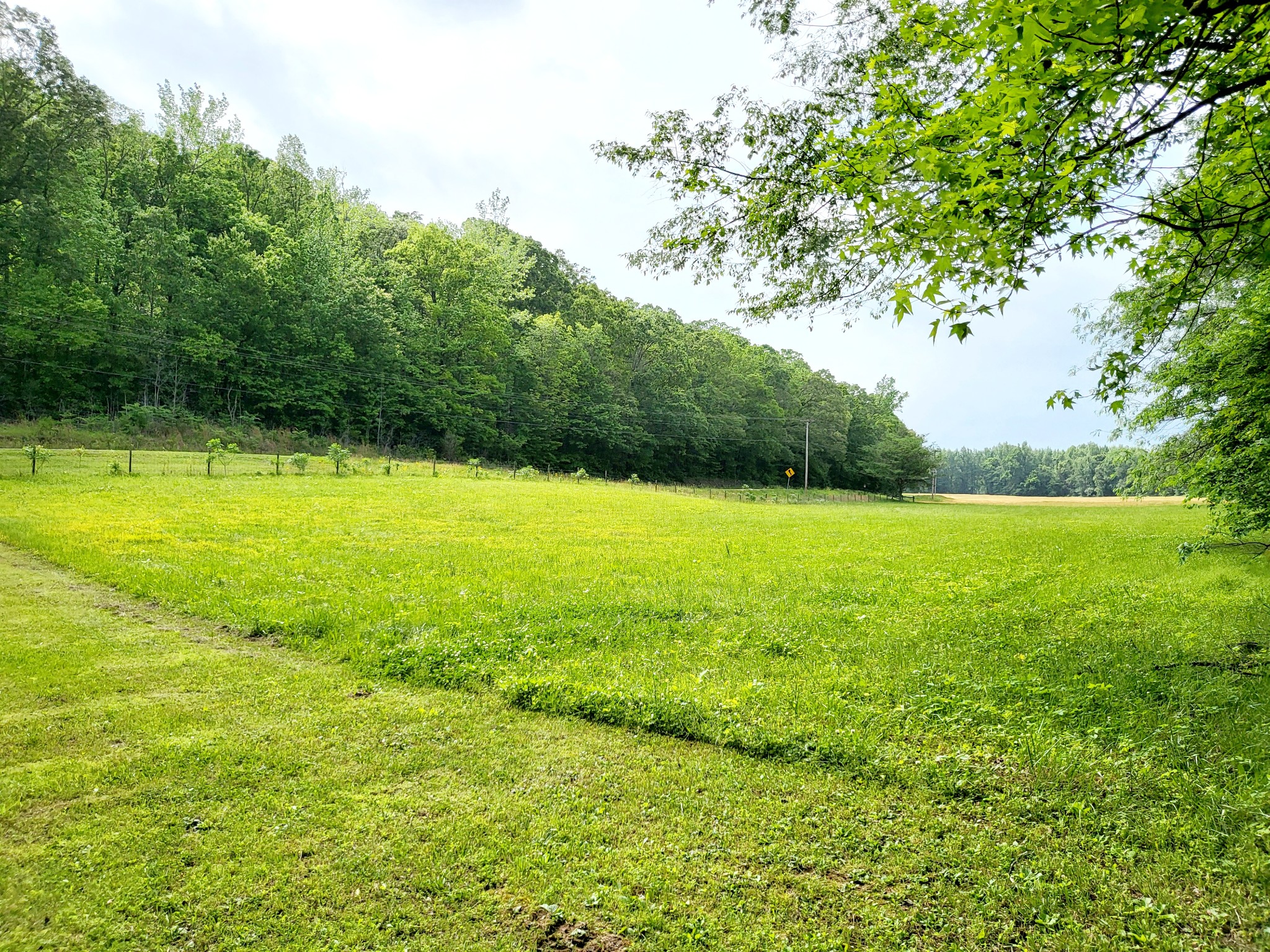 10701 Birdsong Road Holladay, TN 38341 - Photo 65 of 70 Gallery Image 65