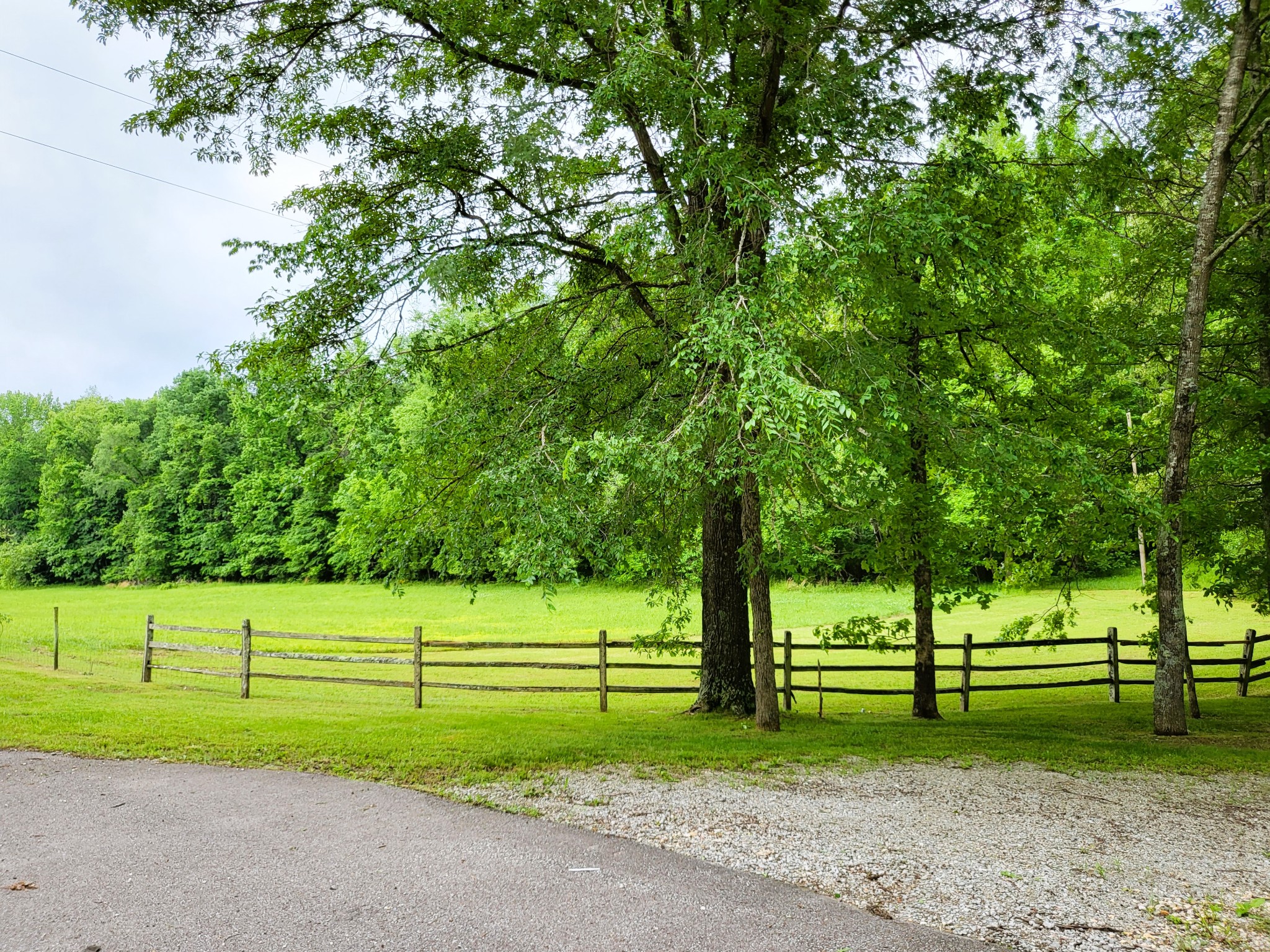 10701 Birdsong Road Holladay, TN 38341 - Photo 66 of 70 Gallery Image 66