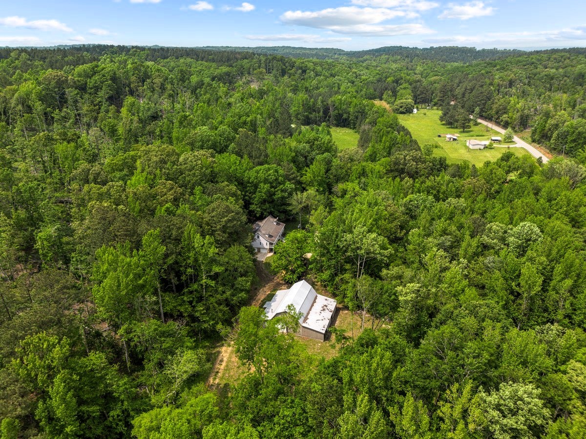 10701 Birdsong Road Holladay, TN 38341 - Photo 67 of 70 Gallery Image 67
