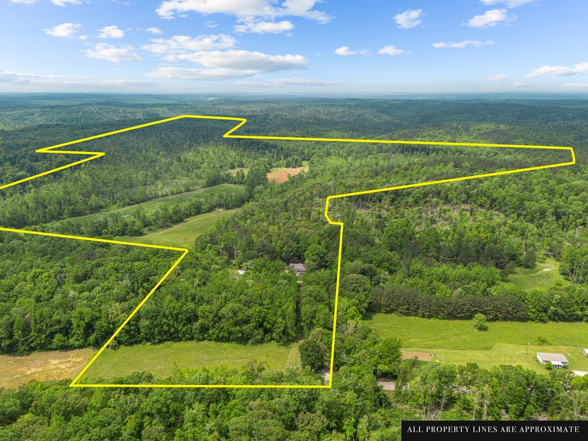 10701 Birdsong Road Holladay, TN 38341 - Photo 69 of 70 Gallery Image 69