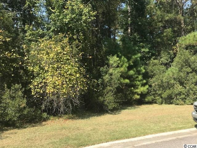Lot 110 Damon Loop Murrells Inlet, SC 29576 - Photo 1 of 8 Gallery Image 1
