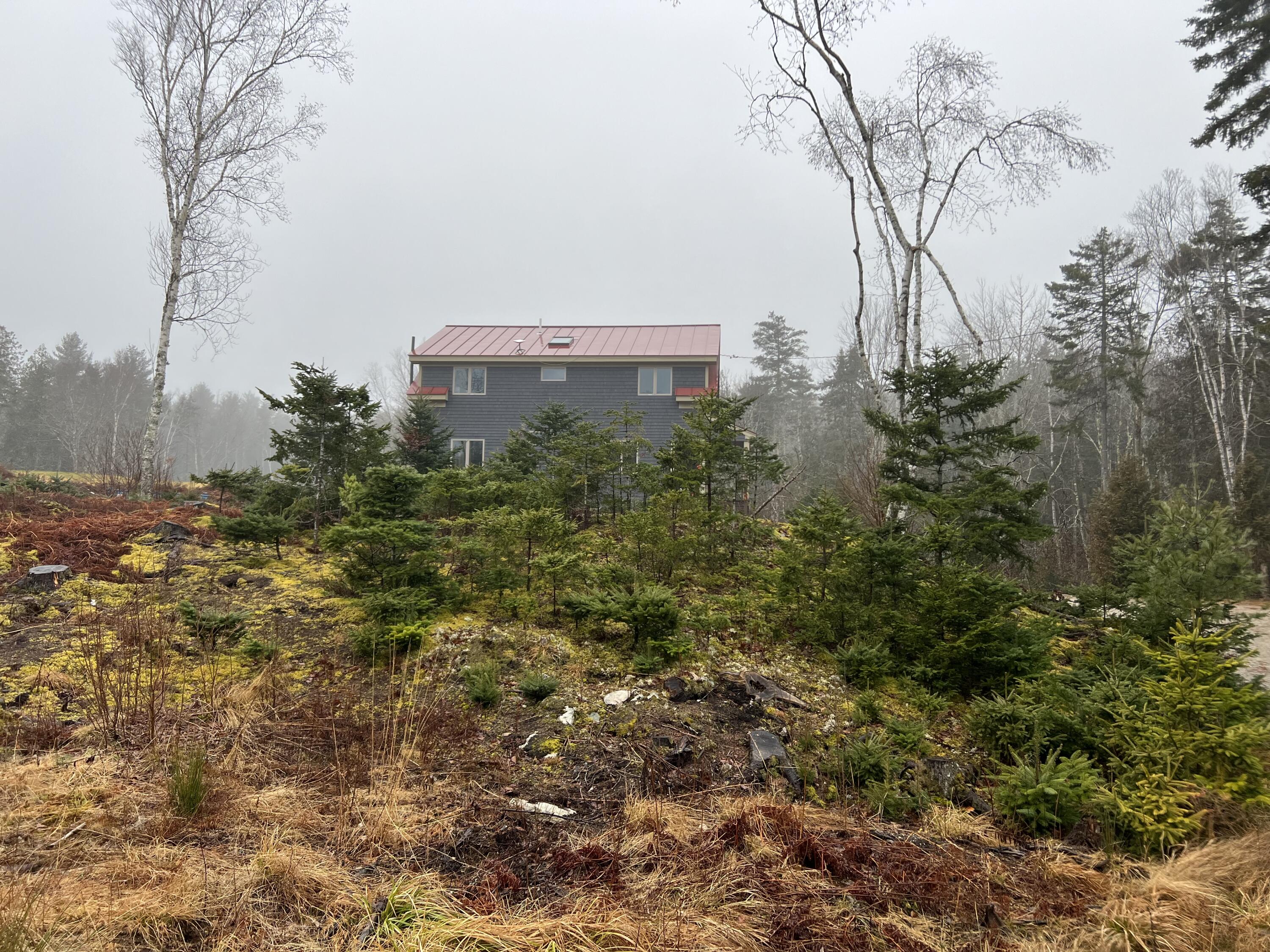 83 Dog Island Road Harborside, ME 04642 - Photo 30 of 30 IMG_4007