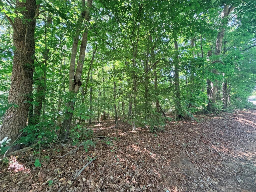 Lot 43 Cemetery Street Ronda, NC 28670 - Photo 5 of 6