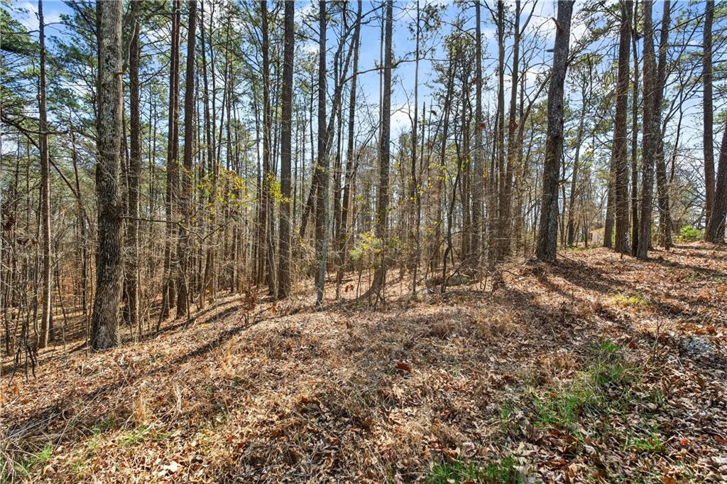0 Northcutt Road Fairburn, GA 30213 - Photo 11 of 14 a backyard of a house with large trees