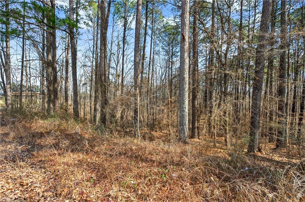 0 Northcutt Road Fairburn, GA 30213 - Photo 13 of 14 a view of outdoor space with lots of trees