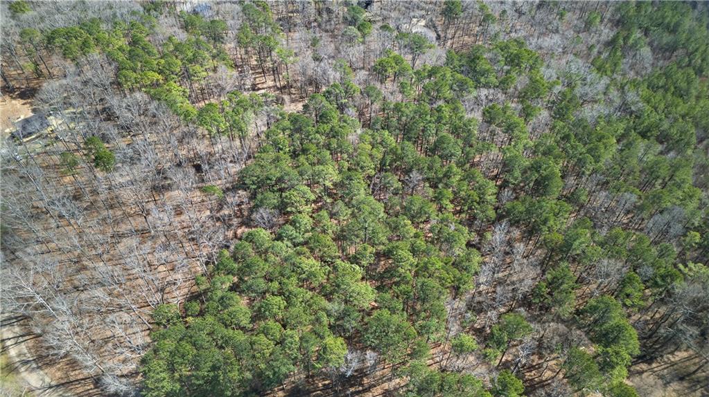 0 Northcutt Road Fairburn, GA 30213 - Photo 4 of 14