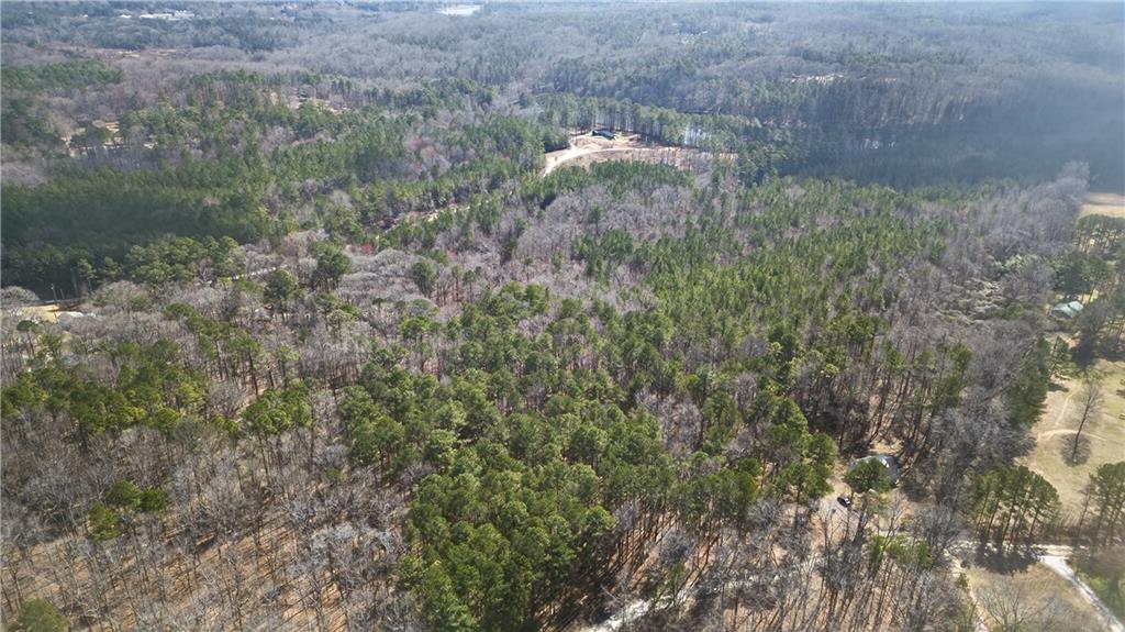0 Northcutt Road Fairburn, GA 30213 - Photo 7 of 14 a close up of a plants in a forest