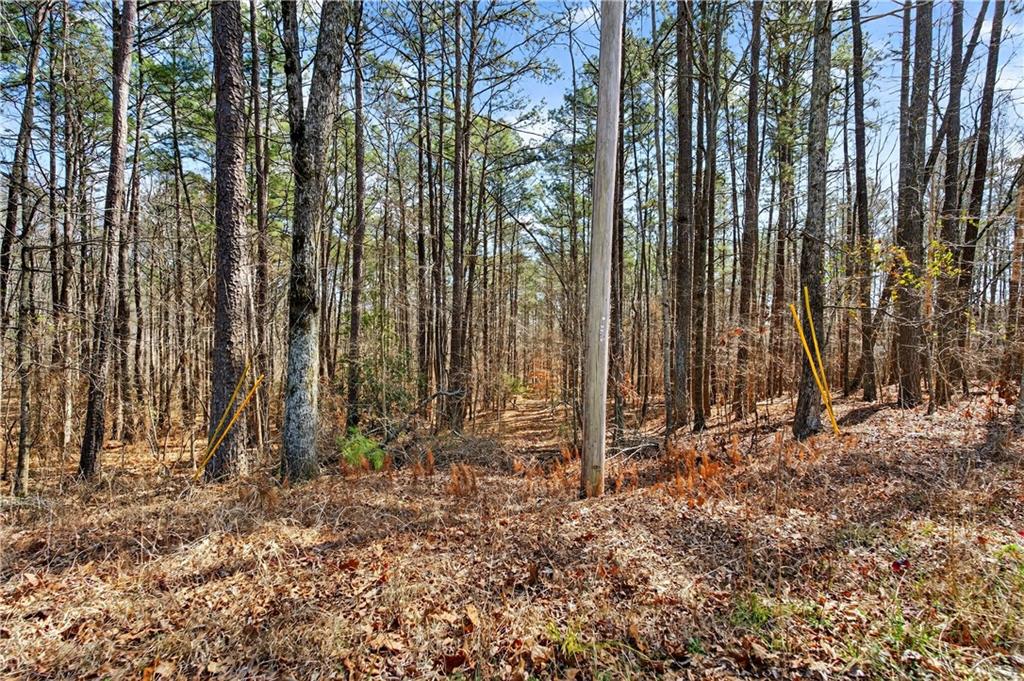 0 Northcutt Road Fairburn, GA 30213 - Photo 9 of 14 a backyard of a house with lots of green space