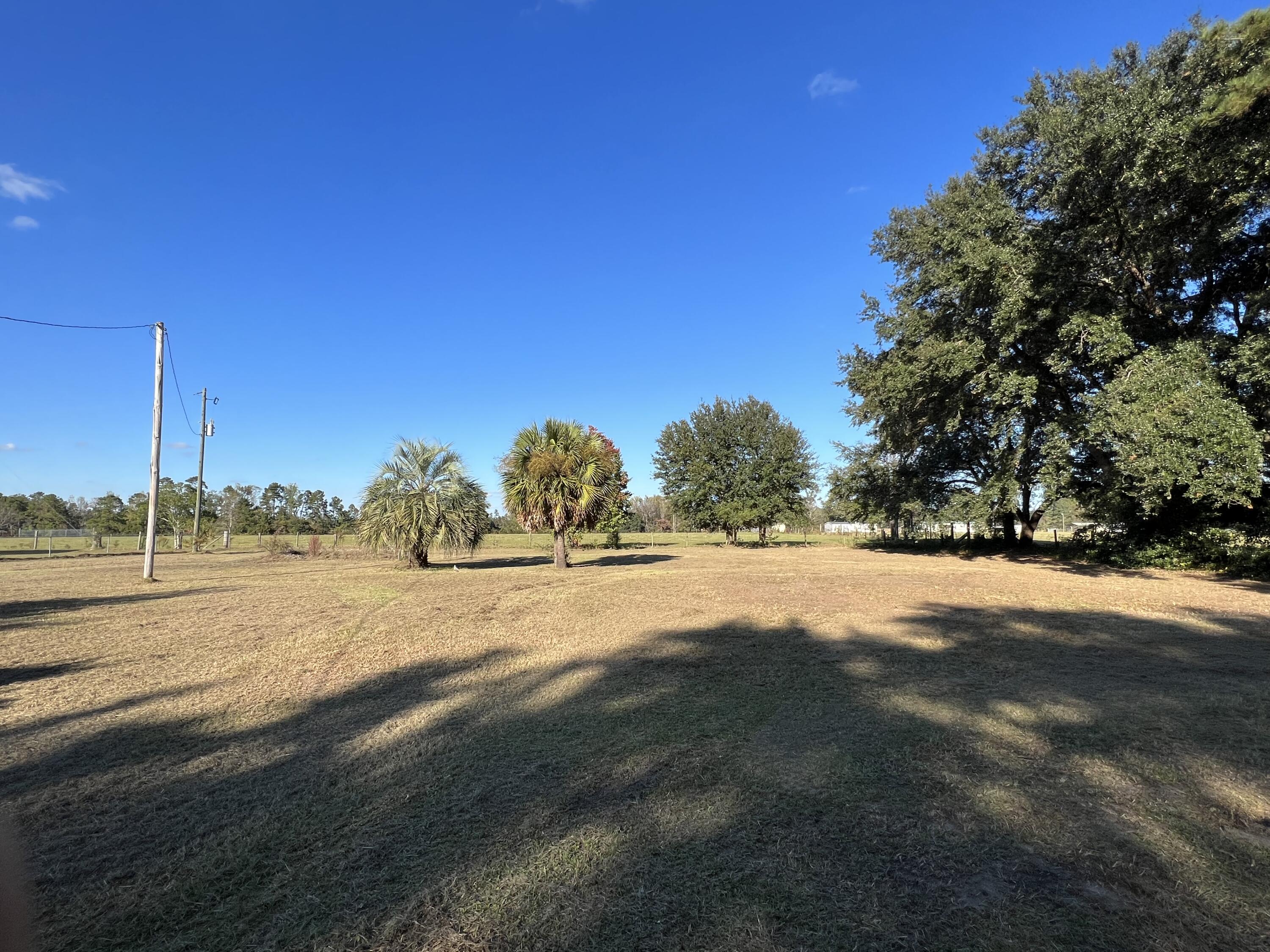 400 Crosby Corner Road Walterboro, SC 29488 - Photo 2 of 4 68C9F16D-51EE-4F9A-9148-A9FC738622B8